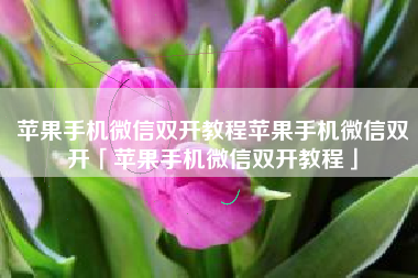 苹果手机微信双开教程苹果手机微信双开「苹果手机微信双开教程」