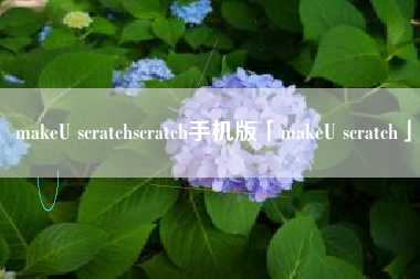 makeU scratchscratch手机版「makeU scratch」