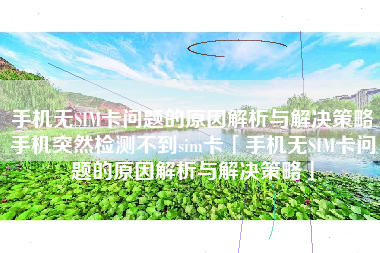 手机无SIM卡问题的原因解析与解决策略手机突然检测不到sim卡「手机无SIM卡问题的原因解析与解决策略」