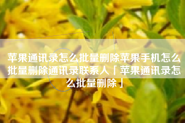 苹果通讯录怎么批量删除苹果手机怎么批量删除通讯录联系人「苹果通讯录怎么批量删除」