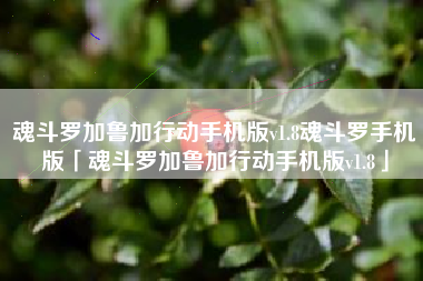 魂斗罗加鲁加行动手机版v1.8魂斗罗手机版「魂斗罗加鲁加行动手机版v1.8」