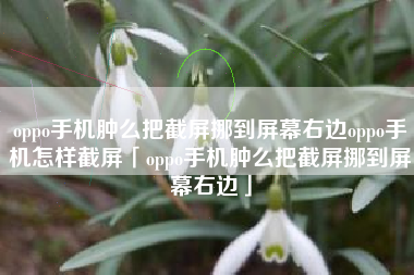 oppo手机肿么把截屏挪到屏幕右边oppo手机怎样截屏「oppo手机肿么把截屏挪到屏幕右边」 oppo手机肿么把截屏挪到屏幕右边oppo手机怎样截屏「oppo手机肿么把截屏挪到屏幕右边」