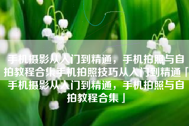手机摄影从入门到精通，手机拍照与自拍教程合集手机拍照技巧从入门到精通「手机摄影从入门到精通，手机拍照与自拍教程合集」
