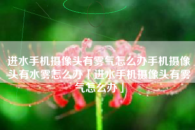 进水手机摄像头有雾气怎么办手机摄像头有水雾怎么办「进水手机摄像头有雾气怎么办」