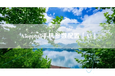 A3oppoa3手机参数配置「A3」
