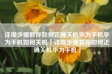 详细步骤教你如何正确关机华为手机华为手机如何关机「详细步骤教你如何正确关机华为手机」