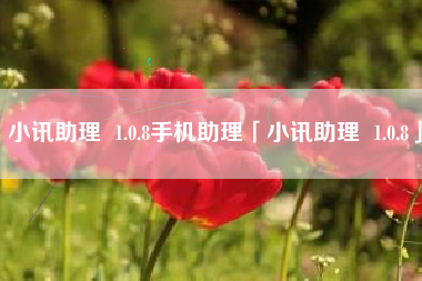 小讯助理 1.0.8手机助理「小讯助理 1.0.8」 小讯助理 1.0.8手机助理「小讯助理 1.0.8」