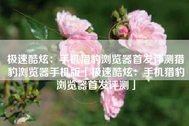 极速酷炫：手机猎豹浏览器首发评测猎豹浏览器手机版「极速酷炫：手机猎豹浏览器首发评测」