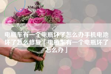 电瓶车有一个电瓶坏了怎么办手机电池坏了怎么修复「电瓶车有一个电瓶坏了怎么办」