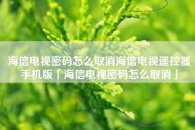 海信电视密码怎么取消海信电视遥控器手机版「海信电视密码怎么取消」