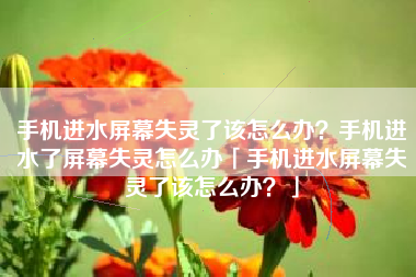 手机进水屏幕失灵了该怎么办？手机进水了屏幕失灵怎么办「手机进水屏幕失灵了该怎么办？」