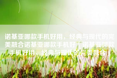 诺基亚哪款手机好用，经典与现代的完美融合诺基亚哪款手机好「诺基亚哪款手机好用，经典与现代的完美融合」