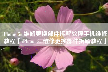 iPhone 5s 维修更换部件拆解教程手机维修教程「iPhone 5s 维修更换部件拆解教程」