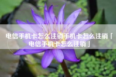 电信手机卡怎么注销手机卡怎么注销「电信手机卡怎么注销」