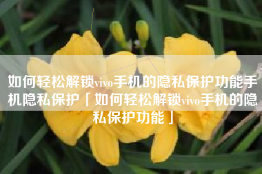 如何轻松解锁vivo手机的隐私保护功能手机隐私保护「如何轻松解锁vivo手机的隐私保护功能」