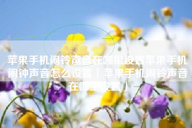 苹果手机闹铃声音在哪里设置苹果手机闹钟声音怎么设置「苹果手机闹铃声音在哪里设置」 苹果手机闹铃声音在哪里设置苹果手机闹钟声音怎么设置「苹果手机闹铃声音在哪里设置」