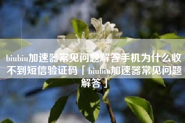 biubiu加速器常见问题解答手机为什么收不到短信验证码「biubiu加速器常见问题解答」