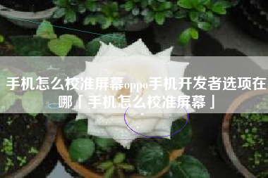 手机怎么校准屏幕oppo手机开发者选项在哪「手机怎么校准屏幕」