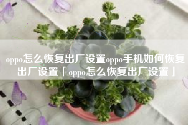 oppo怎么恢复出厂设置oppo手机如何恢复出厂设置「oppo怎么恢复出厂设置」