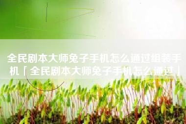 全民剧本大师兔子手机怎么通过组装手机「全民剧本大师兔子手机怎么通过」