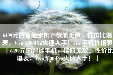6499元的智能手机，续航无敌、性价比爆表，Vivo Y300Pro火速入手！vivo手机价格表「6499元的智能手机，续航无敌、性价比爆表，Vivo Y300Pro火速入手！」
