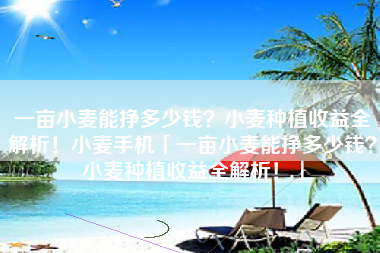 一亩小麦能挣多少钱？小麦种植收益全解析！小麦手机「一亩小麦能挣多少钱？小麦种植收益全解析！」
