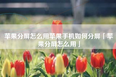 苹果分屏怎么用苹果手机如何分屏「苹果分屏怎么用」