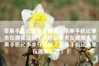 苹果手机记事本在哪里（苹果手机记事本在哪里设置）手机记事本在哪里「苹果手机记事本在哪里（苹果手机记事本在哪里设置）」