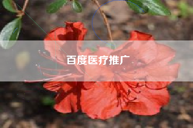 百度医疗推广