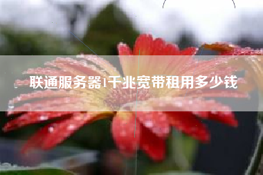 联通服务器1千兆宽带租用多少钱