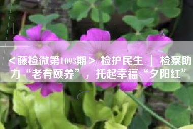 ＜藤检微第1093期＞ 检护民生 ｜ 检察助力“老有颐养”，托起幸福“夕阳红”