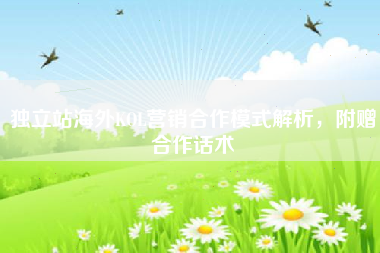 独立站海外KOL营销合作模式解析,附赠合作话术 独立站海外KOL营销合作模式解析,附赠合作话术