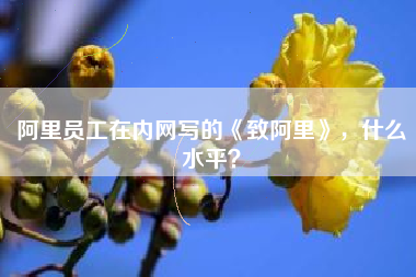 阿里员工在内网写的《致阿里》，什么水平？