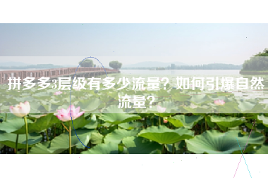 拼多多3层级有多少流量？如何引爆自然流量？
