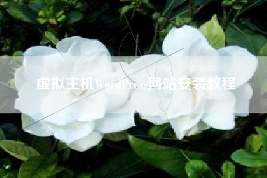 虚拟主机WordPress网站安装教程