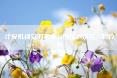 计算机视觉的革命：图像识别与人脸检测