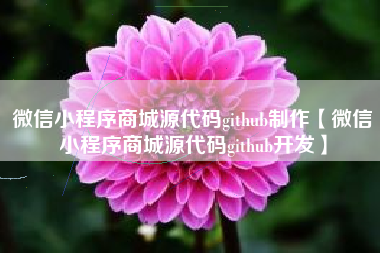 微信小程序商城源代码github制作【微信小程序商城源代码github开发】