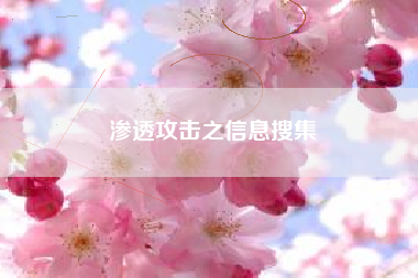 渗透攻击之信息搜集