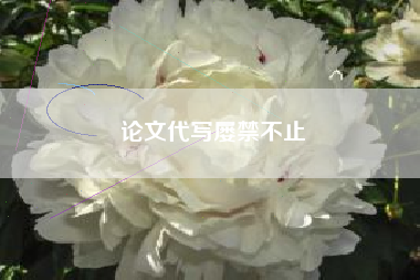 论文代写屡禁不止