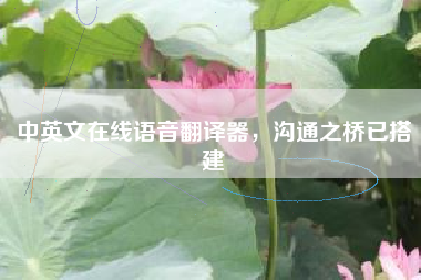 中英文在线语音翻译器，沟通之桥已搭建