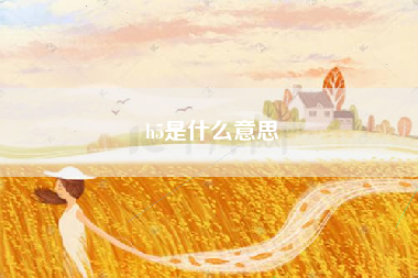 h5是什么意思