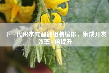 下一代积木式智能组装编排，集成开发效率10倍提升