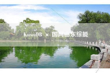 KaiwuDB × 国网山东综能