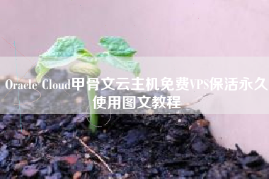 Oracle Cloud甲骨文云主机免费VPS保活永久使用图文教程