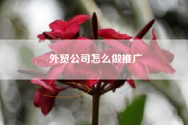 外贸公司怎么做推广