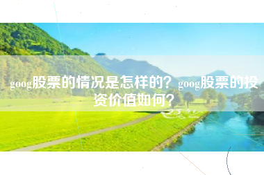 goog股票的情况是怎样的？goog股票的投资价值如何？
