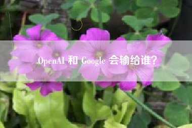OpenAI 和 Google 会输给谁？