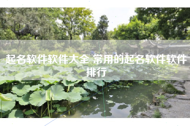 起名软件软件大全 常用的起名软件软件排行