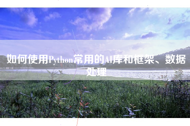 如何使用Python常用的AI库和框架、数据处理