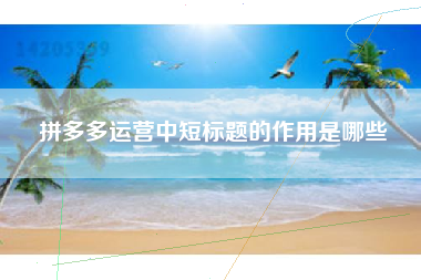 拼多多运营中短标题的作用是哪些
